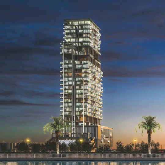 Project Gallery Image